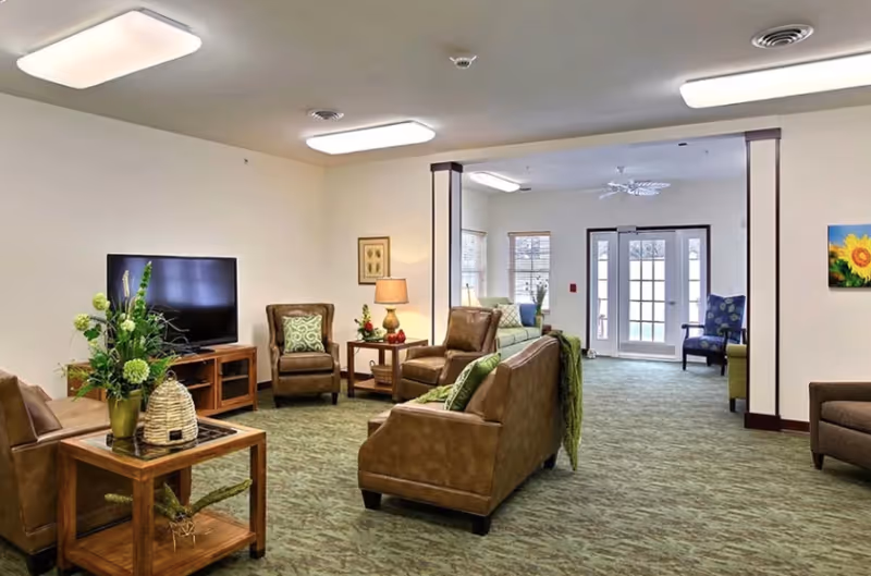 A spacious senior living facility common area with multiple brown leather armchairs and sofas arranged around a wooden TV stand with a flat-screen television. The room has green patterned carpet, a side table with a lamp, and decorative plants. In the background, there is a seating area with a green couch, windows, and double glass doors leading outside.