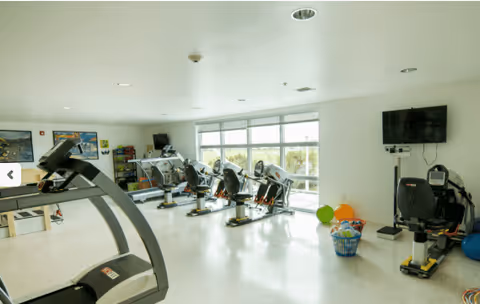 A bright fitness room with several exercise machines including treadmills and stationary bikes, large windows letting in natural light, a wall-mounted TV, and some exercise balls and equipment in a basket on the floor.
