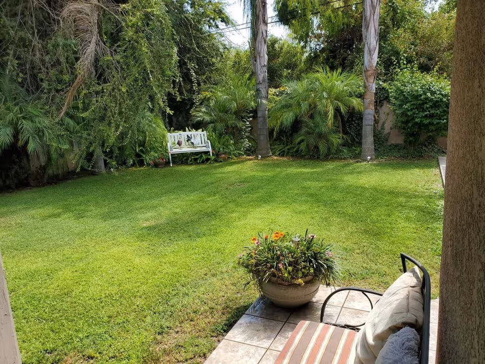 A lush green backyard garden with a well-maintained lawn, surrounded by various trees and bushes. There is a white bench against the back fence and a patio area with a cushioned chair and a large flower pot with blooming flowers.
