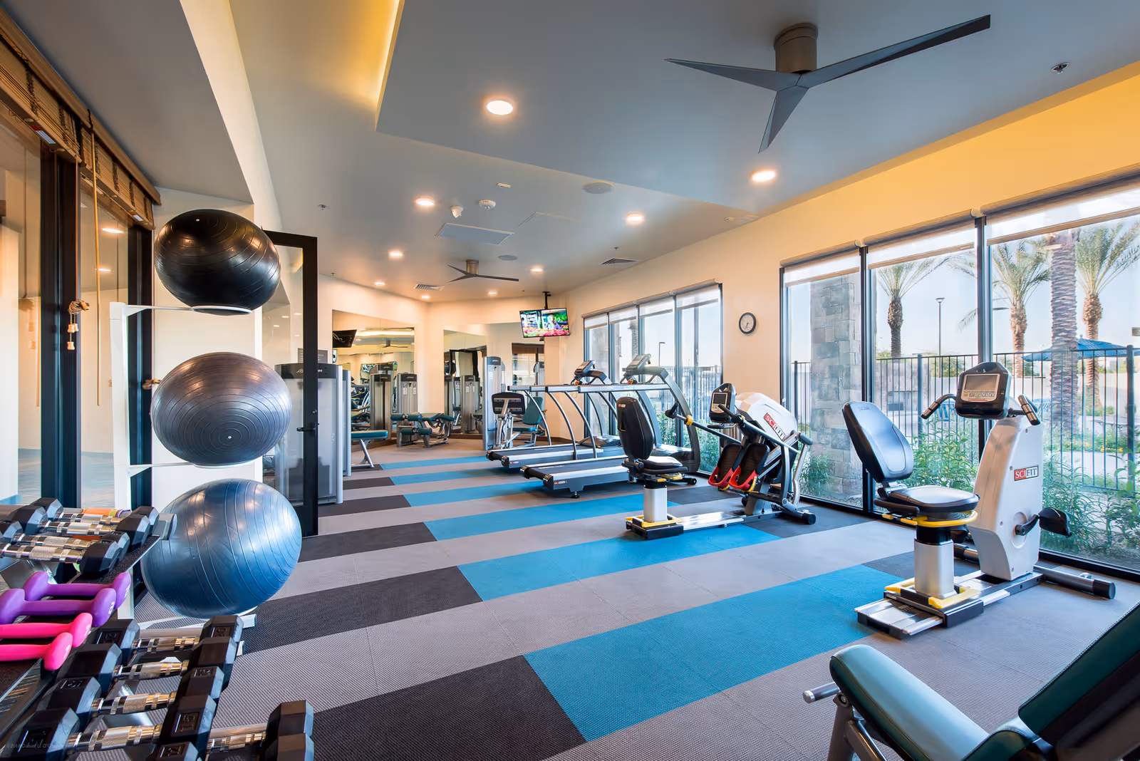 Bright and spacious fitness room with exercise equipment including treadmills, stationary bikes, weight racks with dumbbells, and large exercise balls. The room has large windows with a view of palm trees outside, ceiling fans, and a wall-mounted TV.