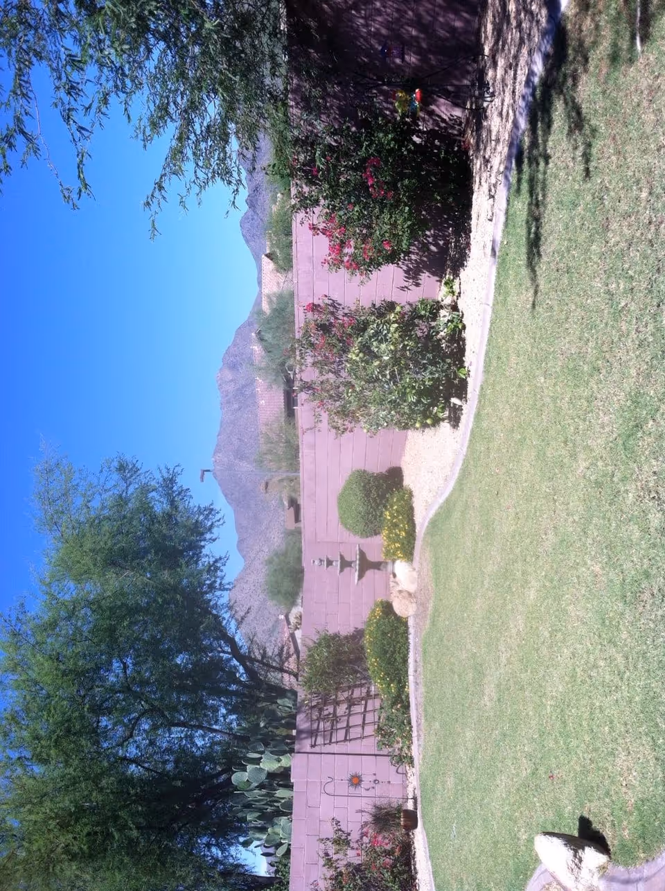 A sunny outdoor garden area with green grass, various bushes, flowering plants, and a tall tree. A pinkish brick wall encloses the garden, and mountains are visible in the background under a clear blue sky.