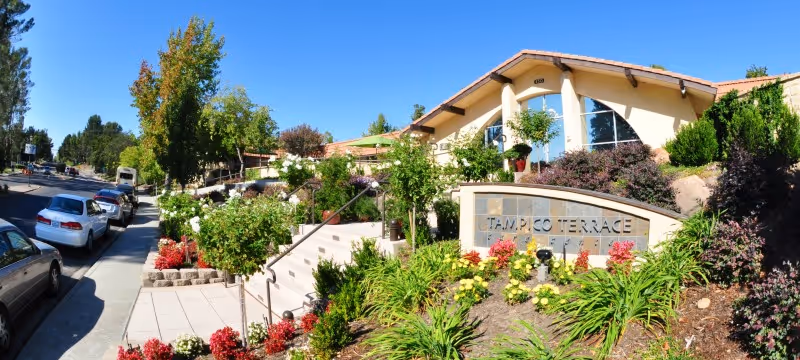 Exterior view of Tampico Terrace Care Center building with a landscaped garden featuring various flowers and shrubs. A tiled sign with the facility's name is prominently displayed in front of the building. Several cars are parked along the street adjacent to the facility under a clear blue sky.
