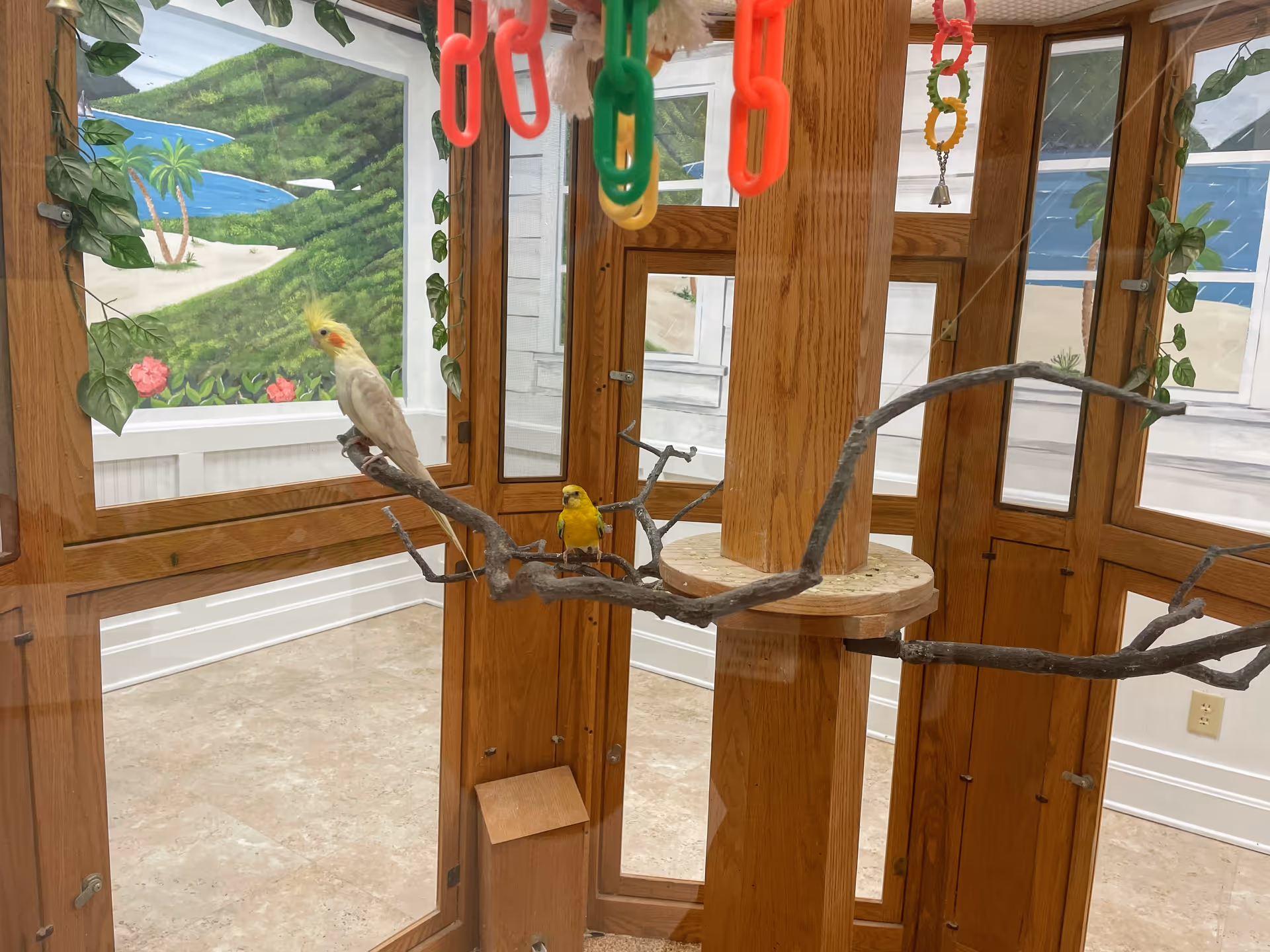 Two small birds perched on a wooden branch inside a glass enclosure with wooden frames. The enclosure has colorful hanging toys and a mural of a beach scene with palm trees and hills on the walls outside the enclosure.