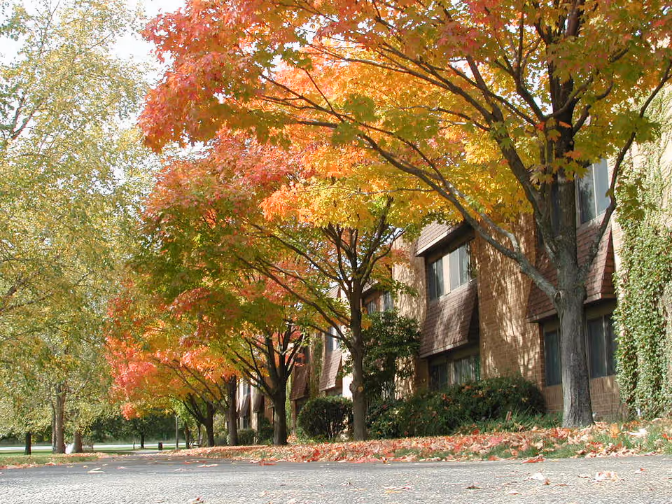 Autumn trees with colorful foliage line the driveway in front of a brick building with windows.