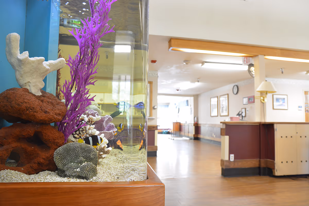 Interior view of a senior living facility hallway with a large aquarium filled with colorful coral and fish on the left side. The hallway has wooden flooring, light-colored walls, framed pictures, a clock, and a reception desk area with a lamp on the right.