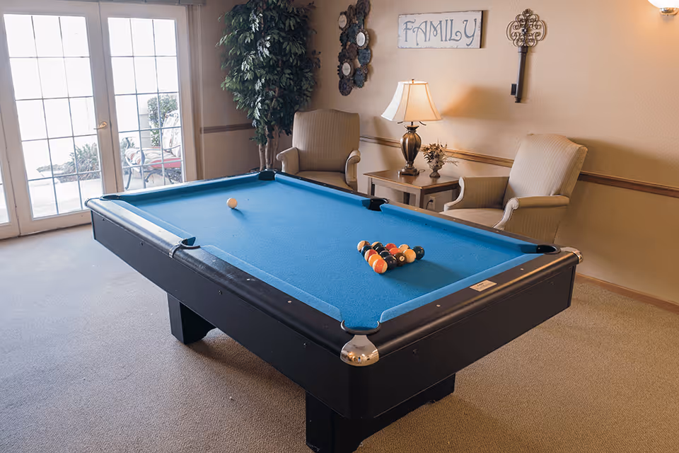 A room with a blue pool table set up for a game, two beige armchairs, a side table with a lamp and decorative items, a large potted plant, and a wall decorated with a 'FAMILY' sign and other wall hangings. French doors lead to an outdoor area.