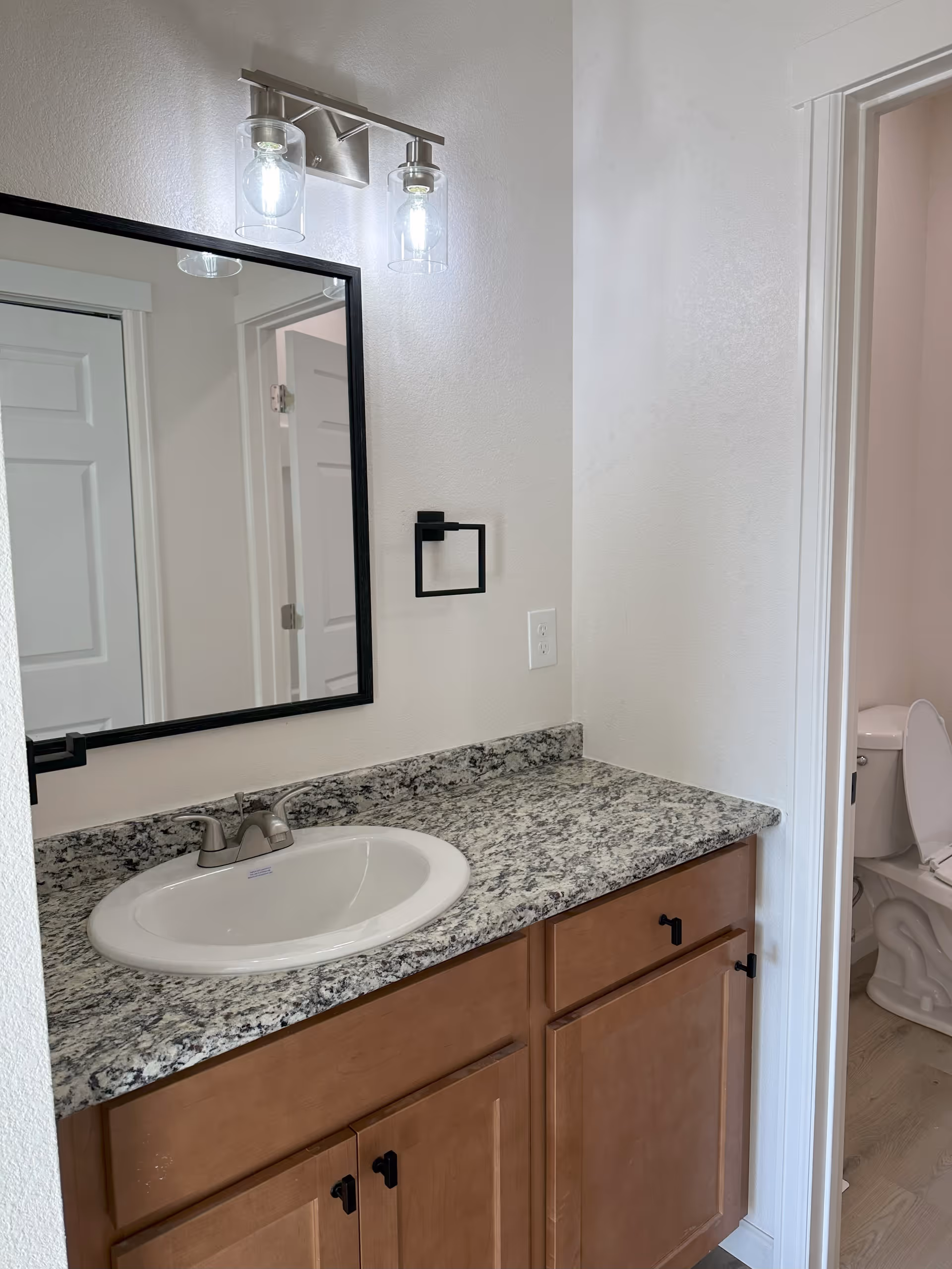 Bathroom vanity with a granite countertop, an oval sink, a large rectangular mirror with a black frame, and a two-light wall fixture above. To the right, a doorway reveals a toilet with the lid open.