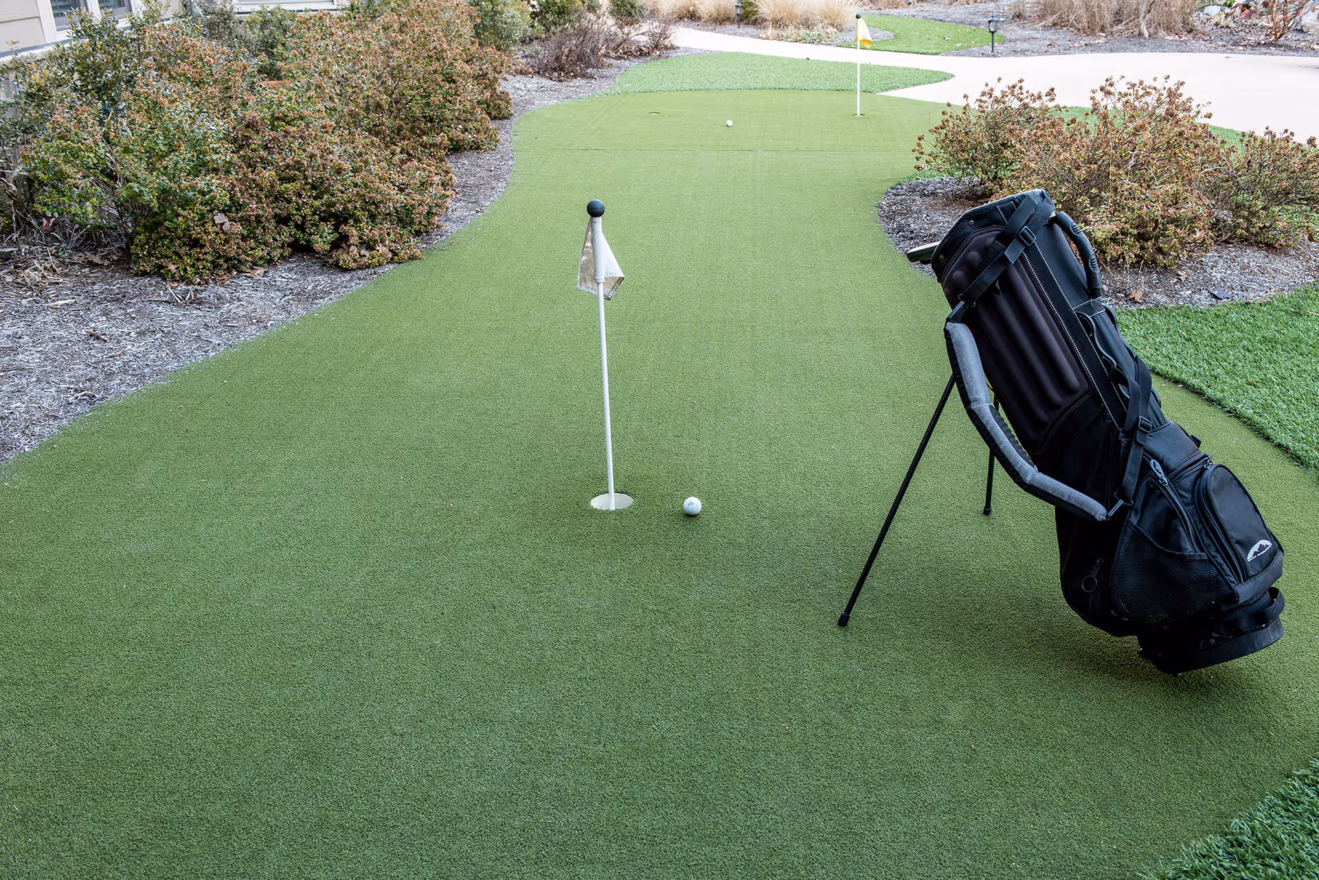 A putting green with two golf holes marked by small flags, a golf ball near one hole, and a black golf bag standing on the green. Surrounding the green are bushes and a paved walkway.