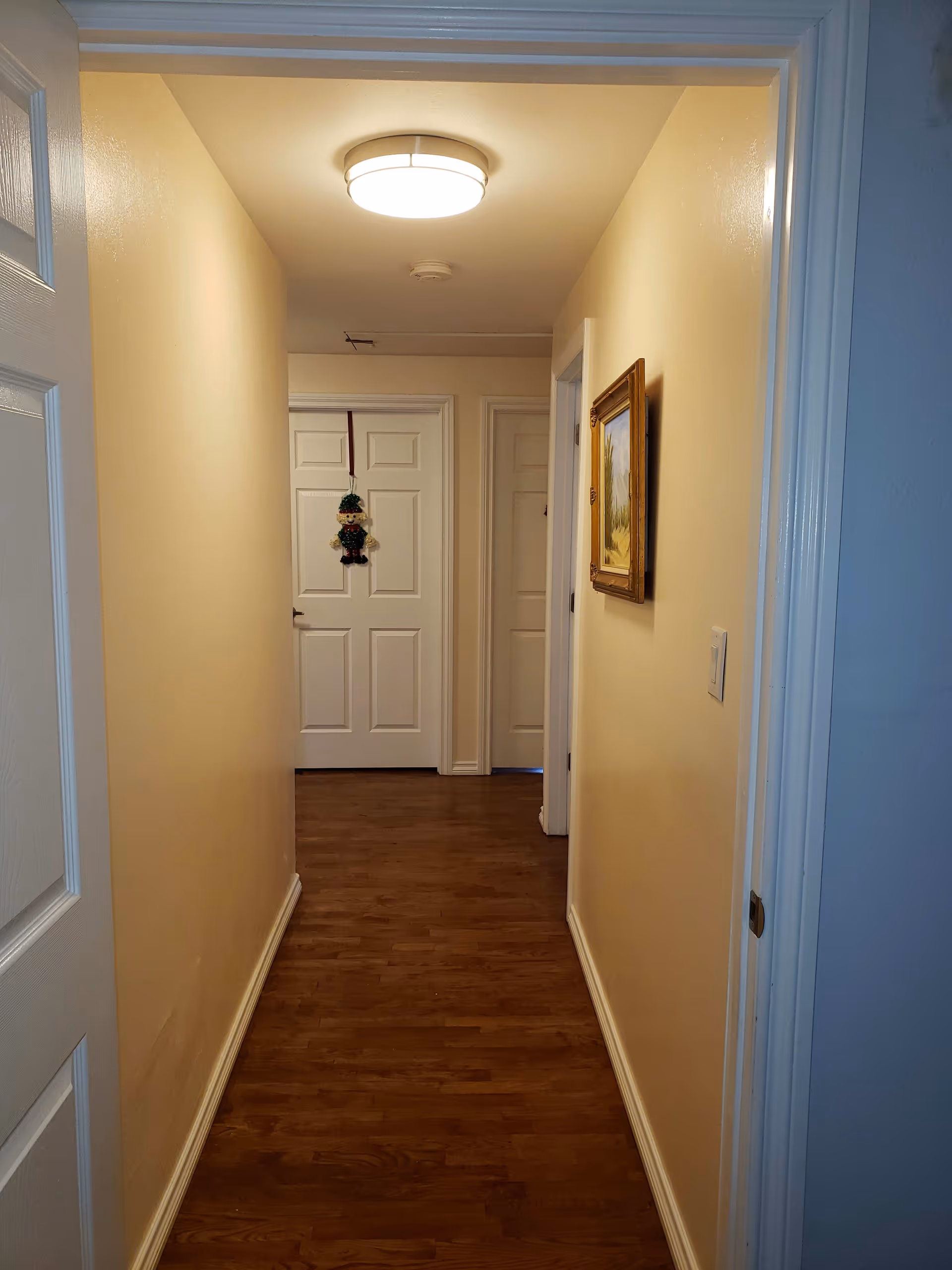 A narrow hallway with wooden flooring and cream-colored walls. There are three white doors at the end of the hallway, one of which has a small decorative doll hanging on it. A framed painting is hung on the right wall, and a ceiling light fixture illuminates the space.