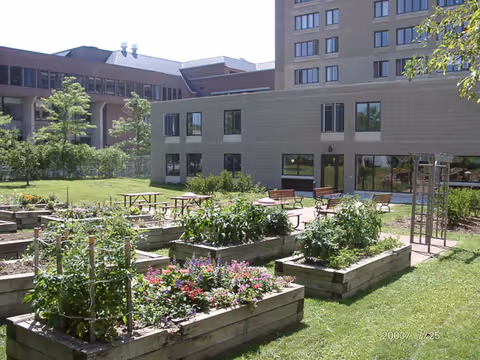 Outdoor garden area with raised wooden garden beds containing various plants and flowers. Several picnic tables and benches are placed on a paved area near a multi-story building with large windows. The scene is sunny with green grass and trees around.