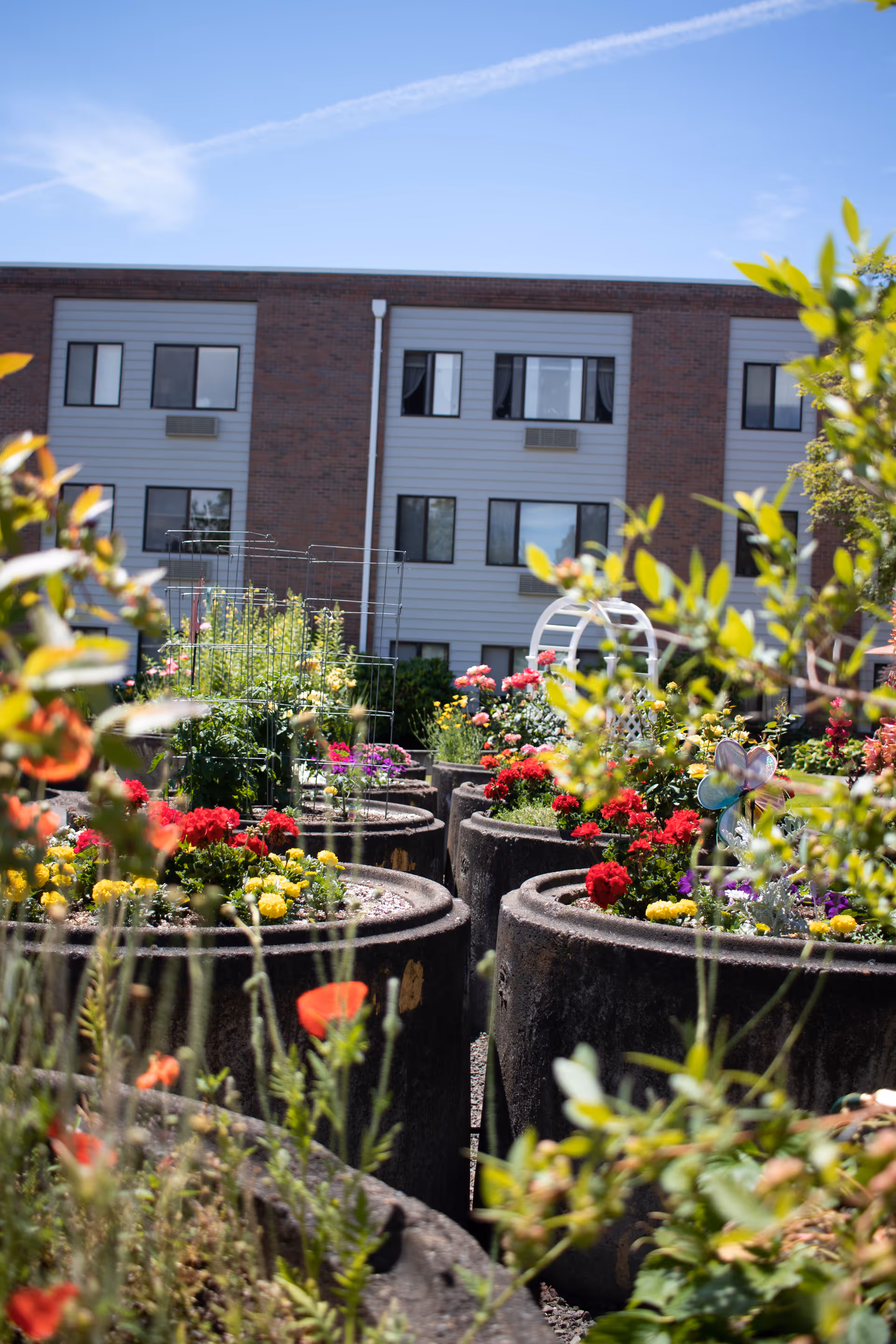 Raised circular planters filled with colorful flowers in a garden area in front of a multi-story senior living building.