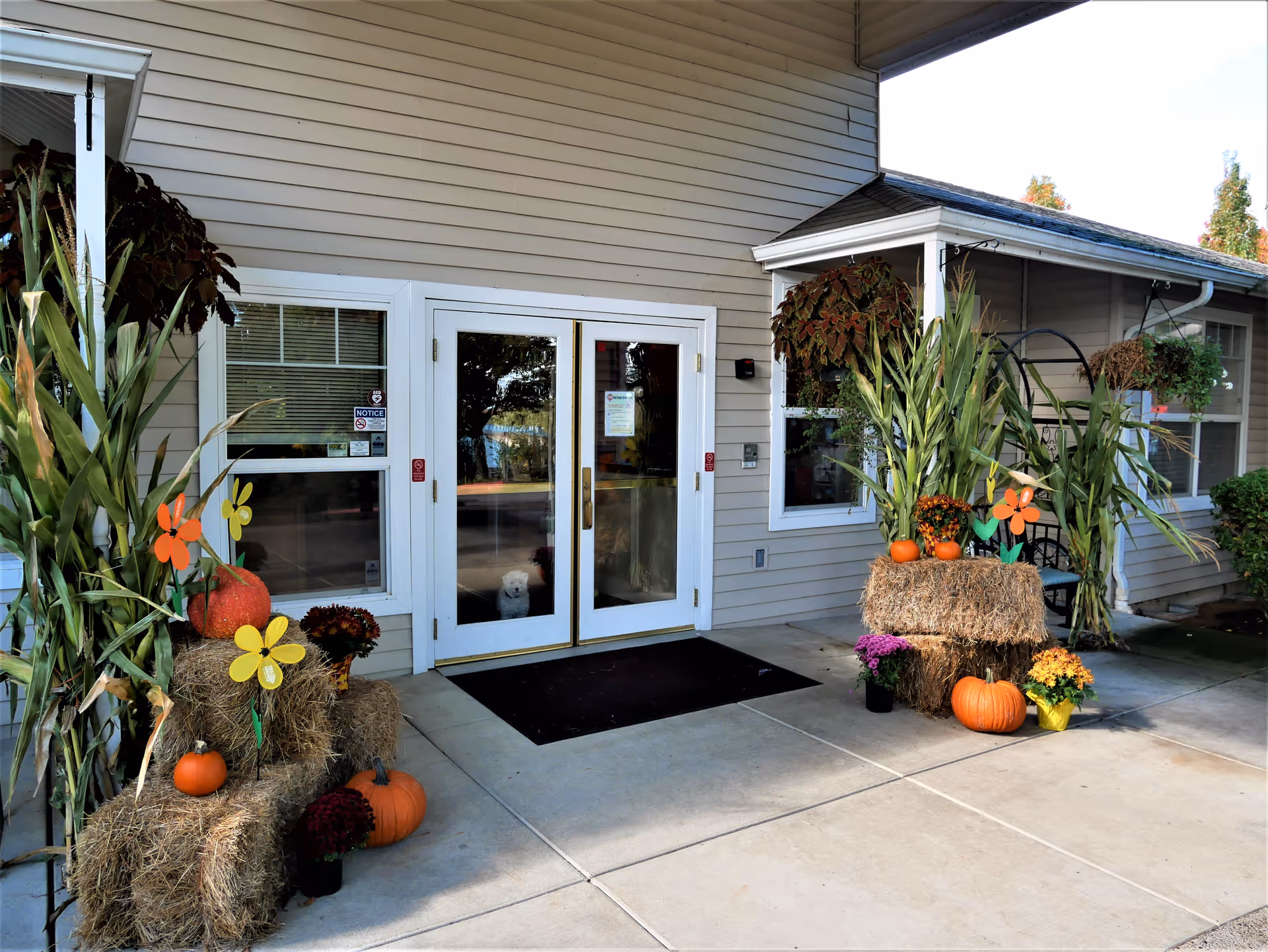 Entrance of a senior living facility decorated with hay bales, pumpkins, corn stalks, colorful flowers, and flower-shaped decorations. The entrance has double glass doors with white frames, and a small white dog is visible sitting inside behind the glass door.