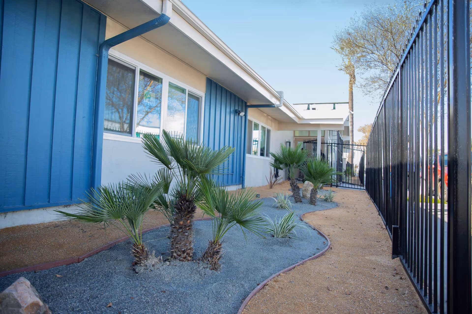 Exterior side yard of a single-story building with small palm plants in a gravel bed and a black metal fence along a walkway.
