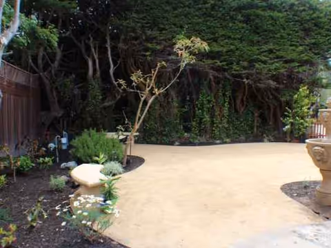 A paved outdoor courtyard with trees, plants, and garden features along a curved path.