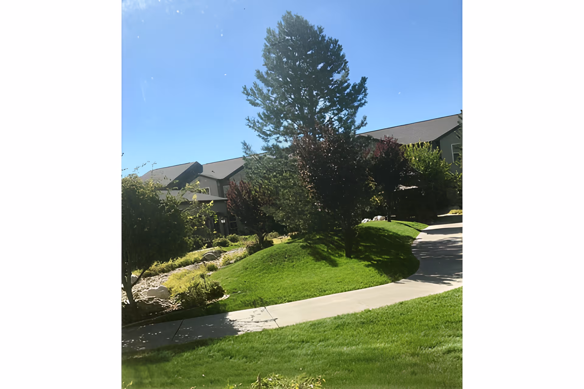 A sunny outdoor scene at Avamere at Mountain Ridge featuring a curved concrete pathway surrounded by well-maintained green grass, various trees, and shrubs. Residential buildings with sloped roofs are visible in the background under a clear blue sky.
