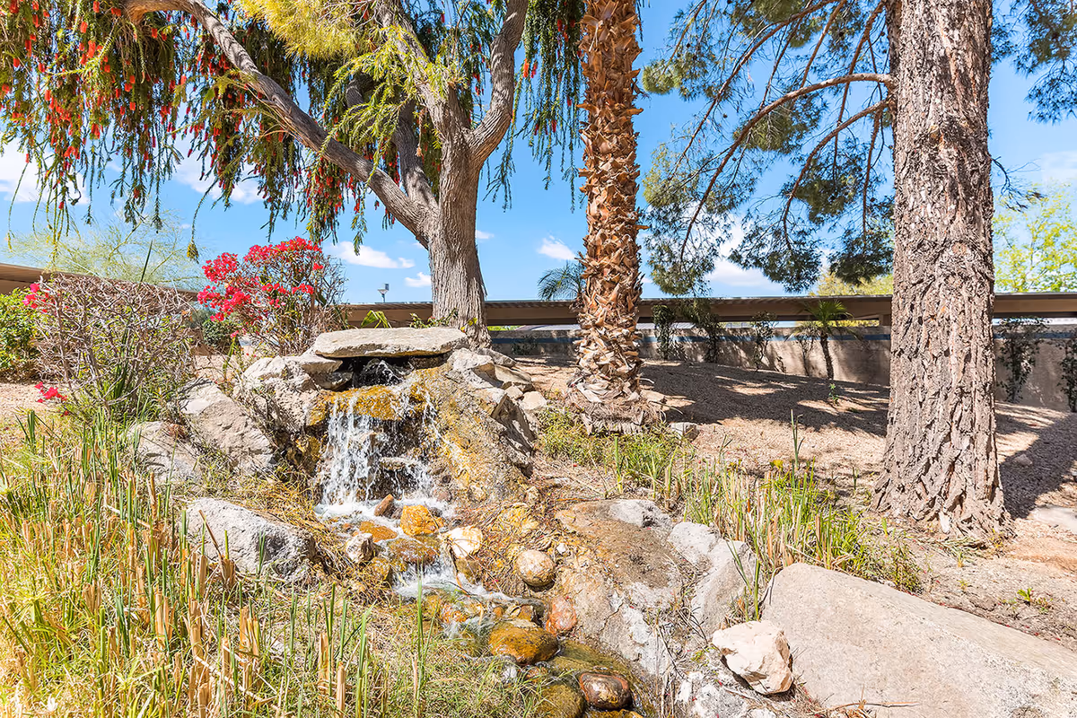 Outdoor garden area with a small waterfall flowing over rocks surrounded by trees, plants, and flowers under a clear blue sky.