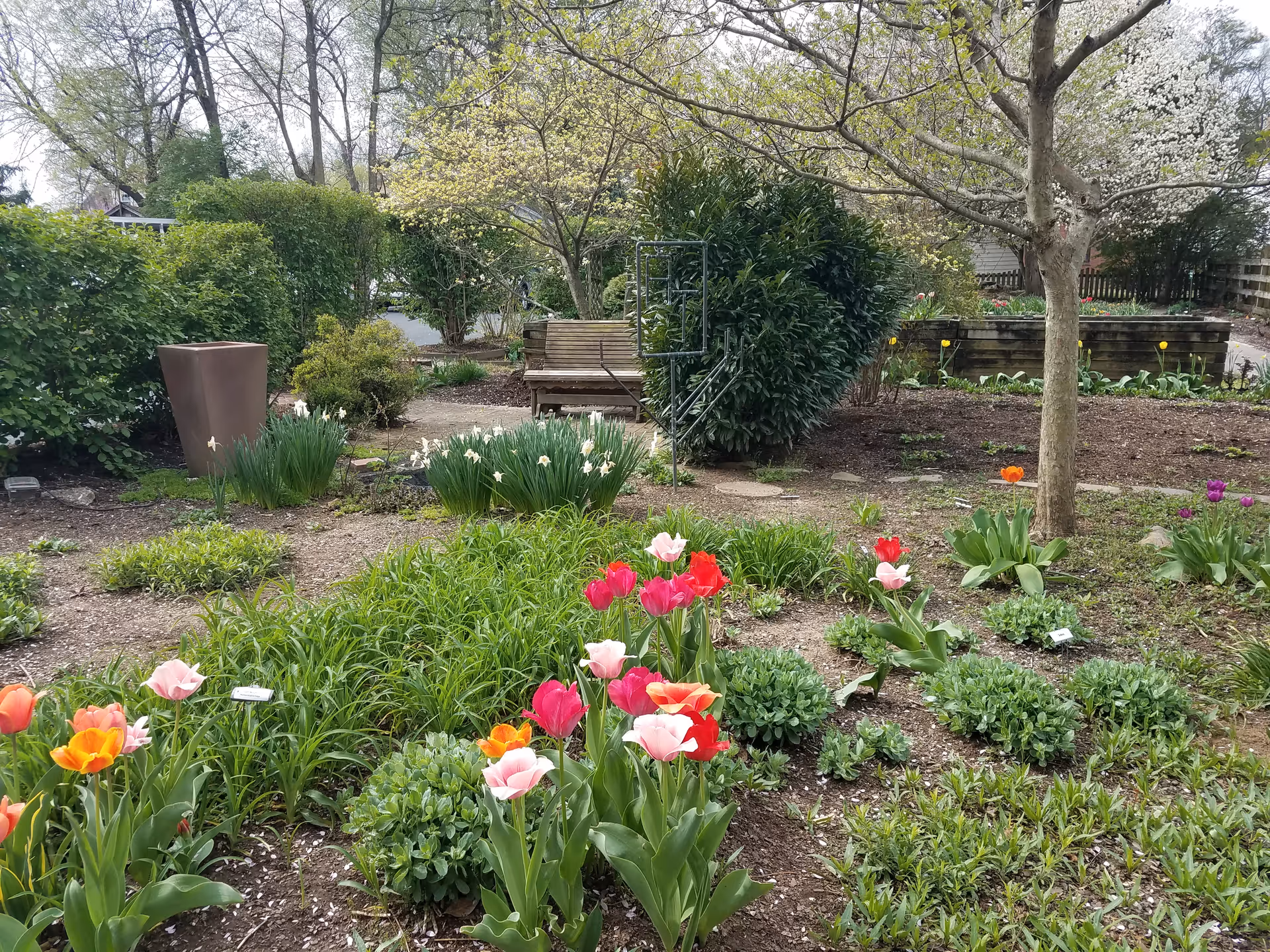 A garden area with blooming tulips and other plants, a tree, and a wooden bench surrounded by bushes and trees in the background.