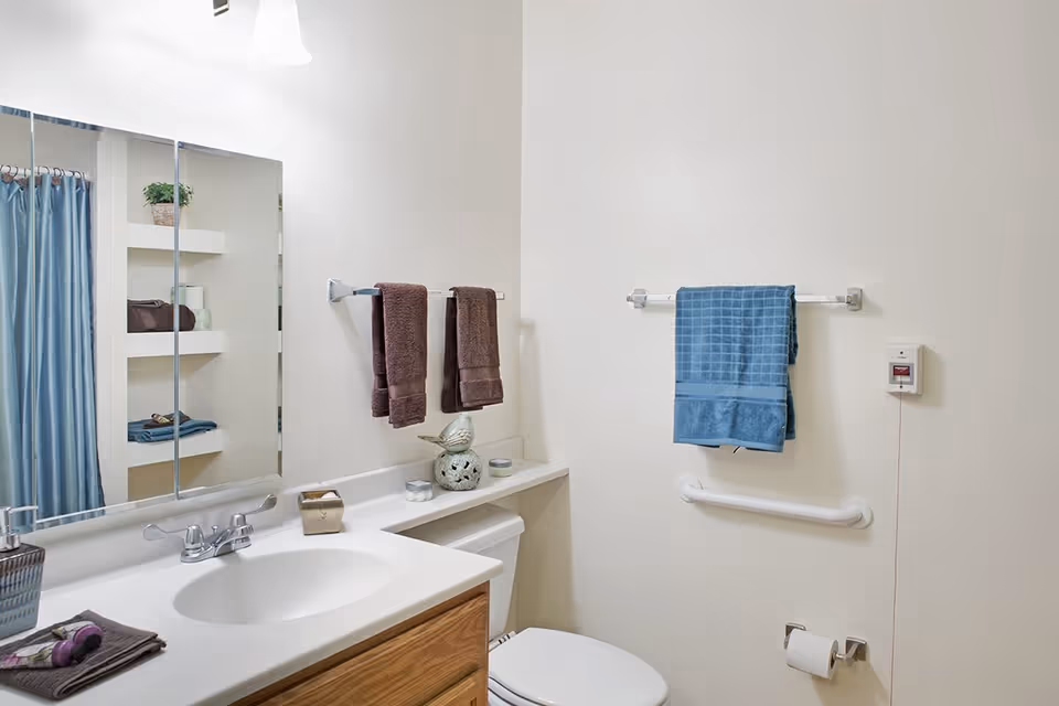 Bright bathroom featuring a sink with mirrored medicine cabinet, toilet, towel racks with brown and blue towels, a grab bar, and a shower curtain.