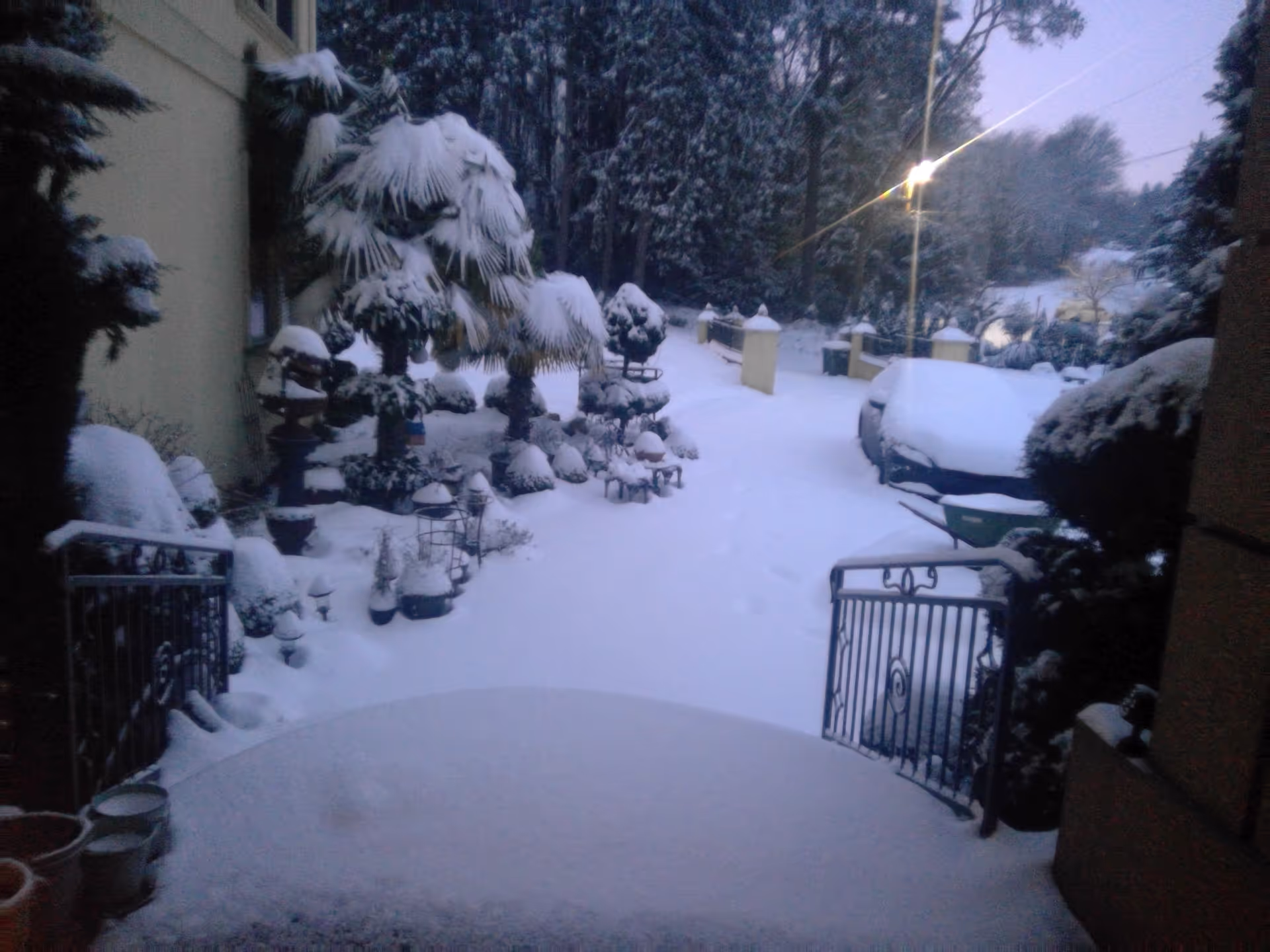 Snow-covered outdoor area with various plants and trees blanketed in snow, a snow-covered car parked on the right side, and a pathway leading away from the building. The scene is set during early evening or dawn with a streetlight illuminating part of the area.