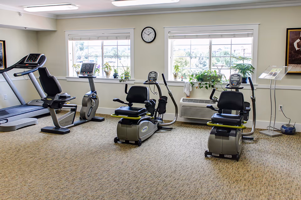 Exercise room with treadmills and recumbent bikes arranged in front of two windows.