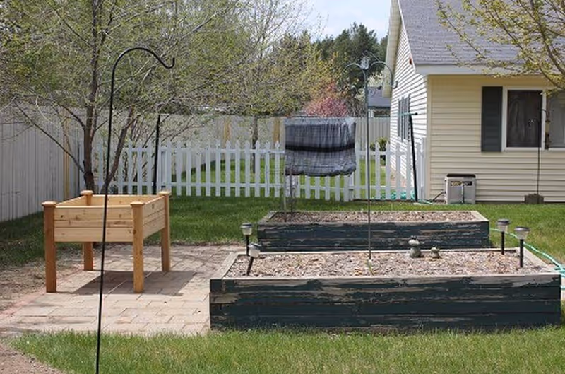 Raised wooden garden beds, a small planter and a white picket fence in a backyard beside a beige house.