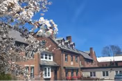 Brick multi-story building with a flowering tree branch in the foreground under a clear blue sky.