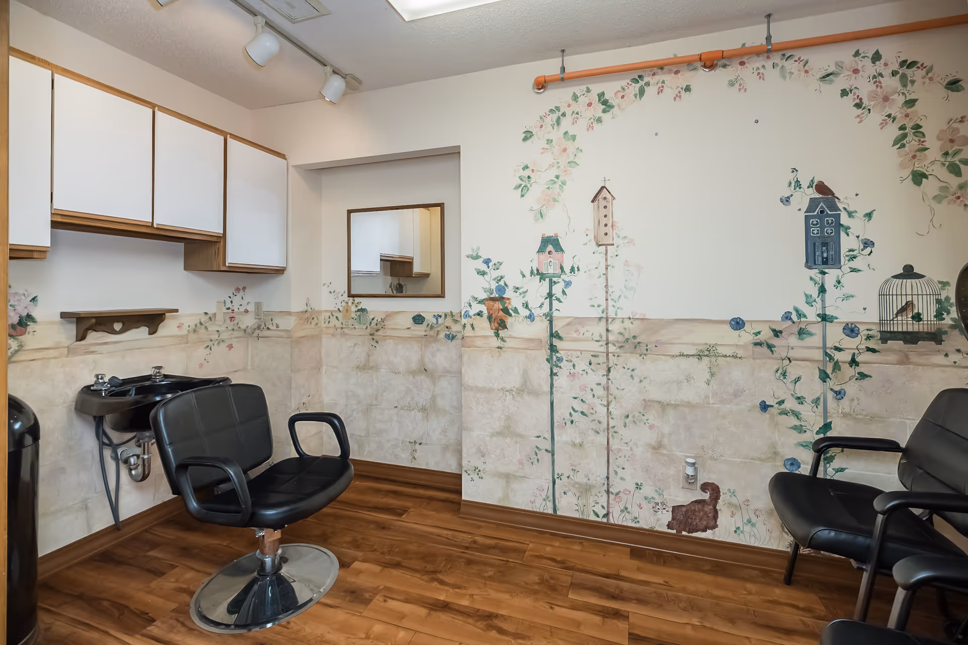 Interior of a small salon area with two black salon chairs, a black hair washing sink, white cabinets mounted on the wall, a mirror, and walls decorated with floral and birdhouse murals. The floor is wooden.