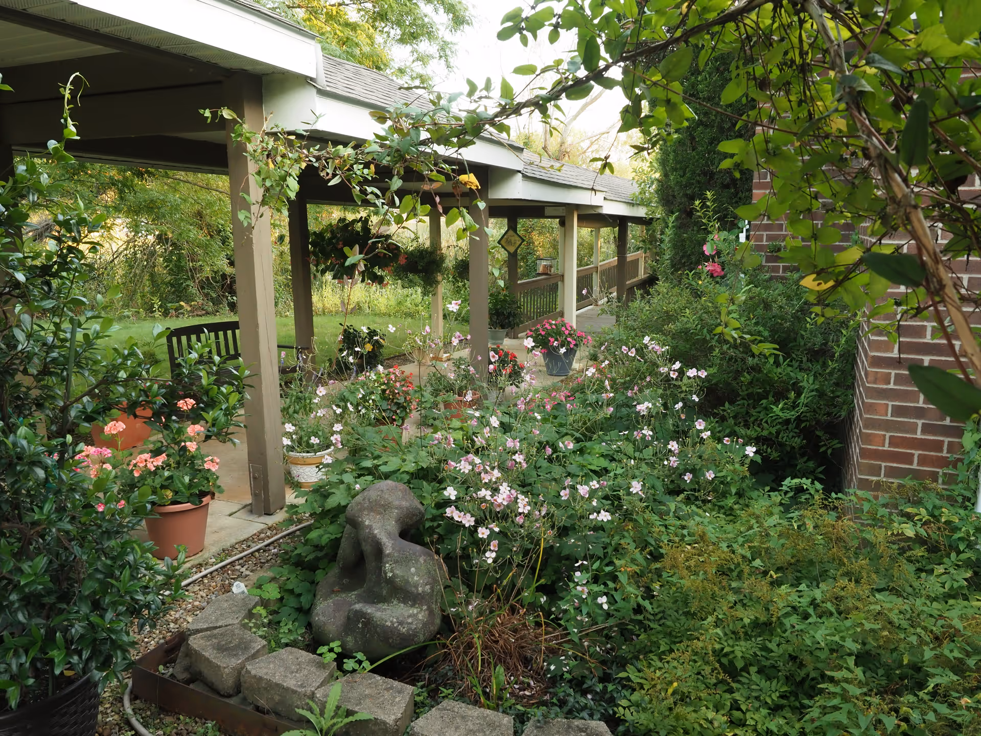 A covered outdoor walkway surrounded by lush greenery and flowering plants, with a wooden bench and a stone sculpture in the garden area next to a brick building.