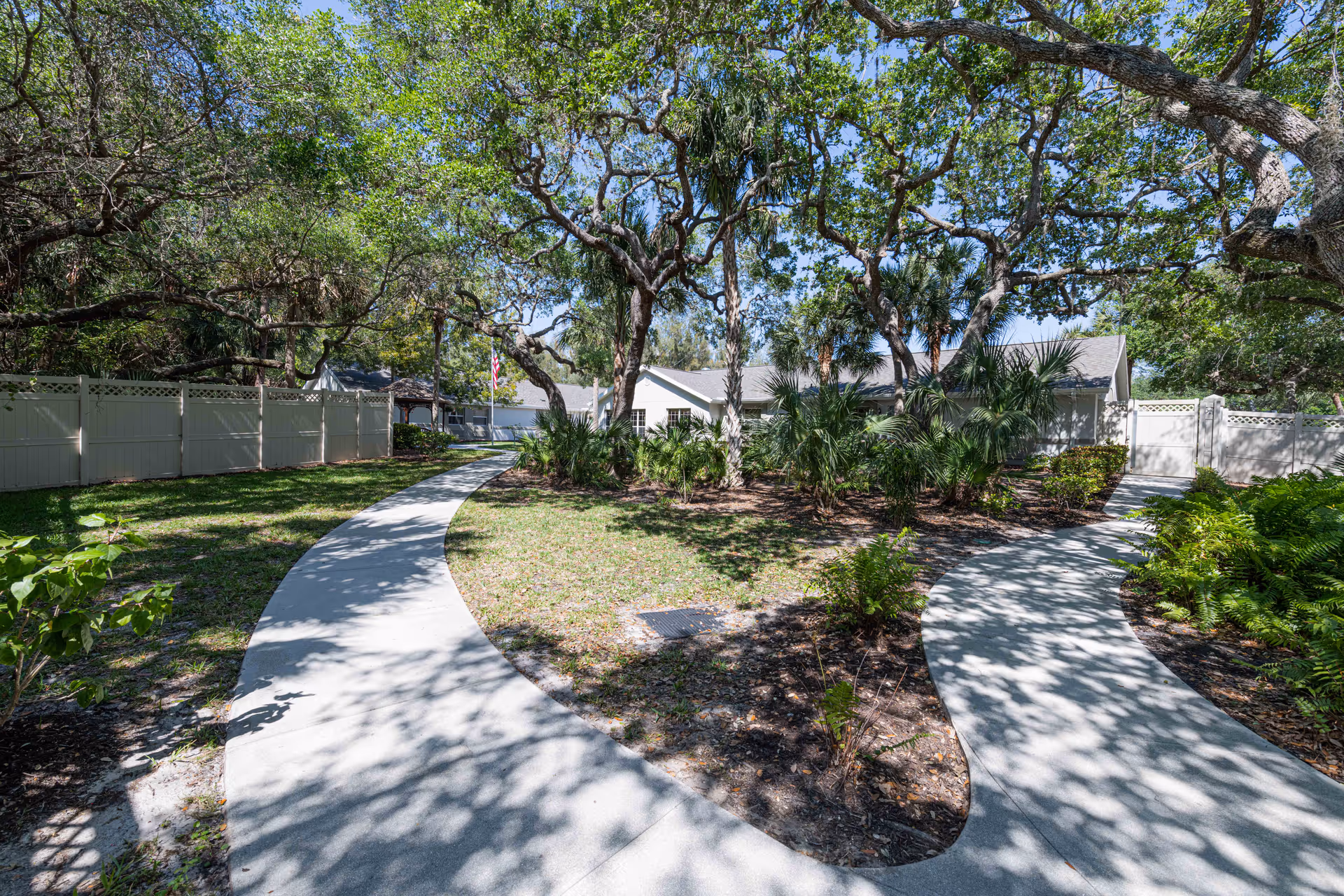 Curved concrete walkways through a shaded garden with large oak trees, landscaping, a white privacy fence, and a low building in the background.