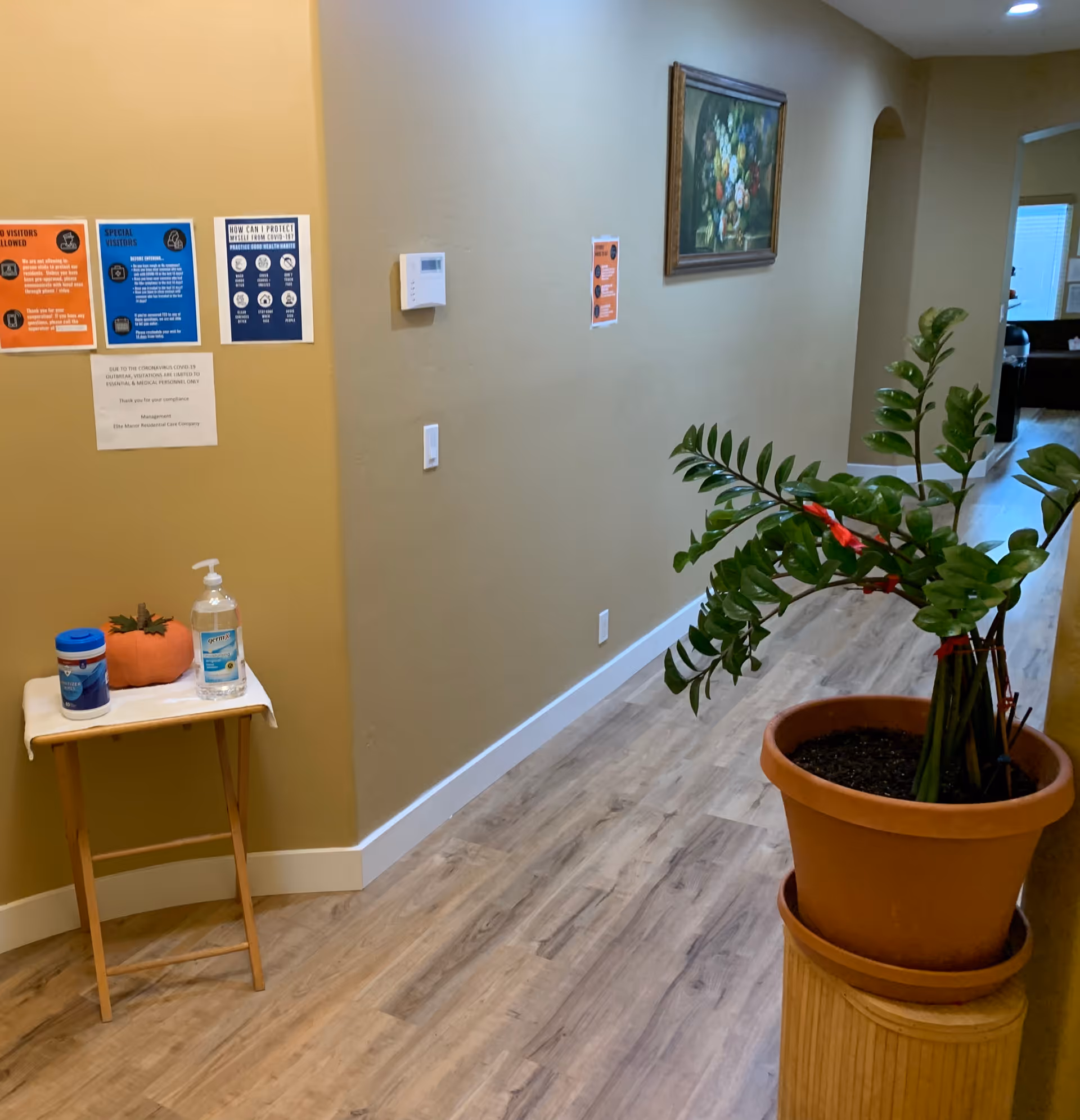 Interior hallway with a potted plant, a small table holding hand sanitizer and wipes, and informational signs on the wall.
