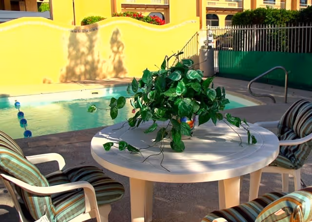 Outdoor seating area with a round white table and four striped cushioned chairs surrounding it, a green leafy plant centerpiece on the table, and a swimming pool with a yellow wall and building in the background.