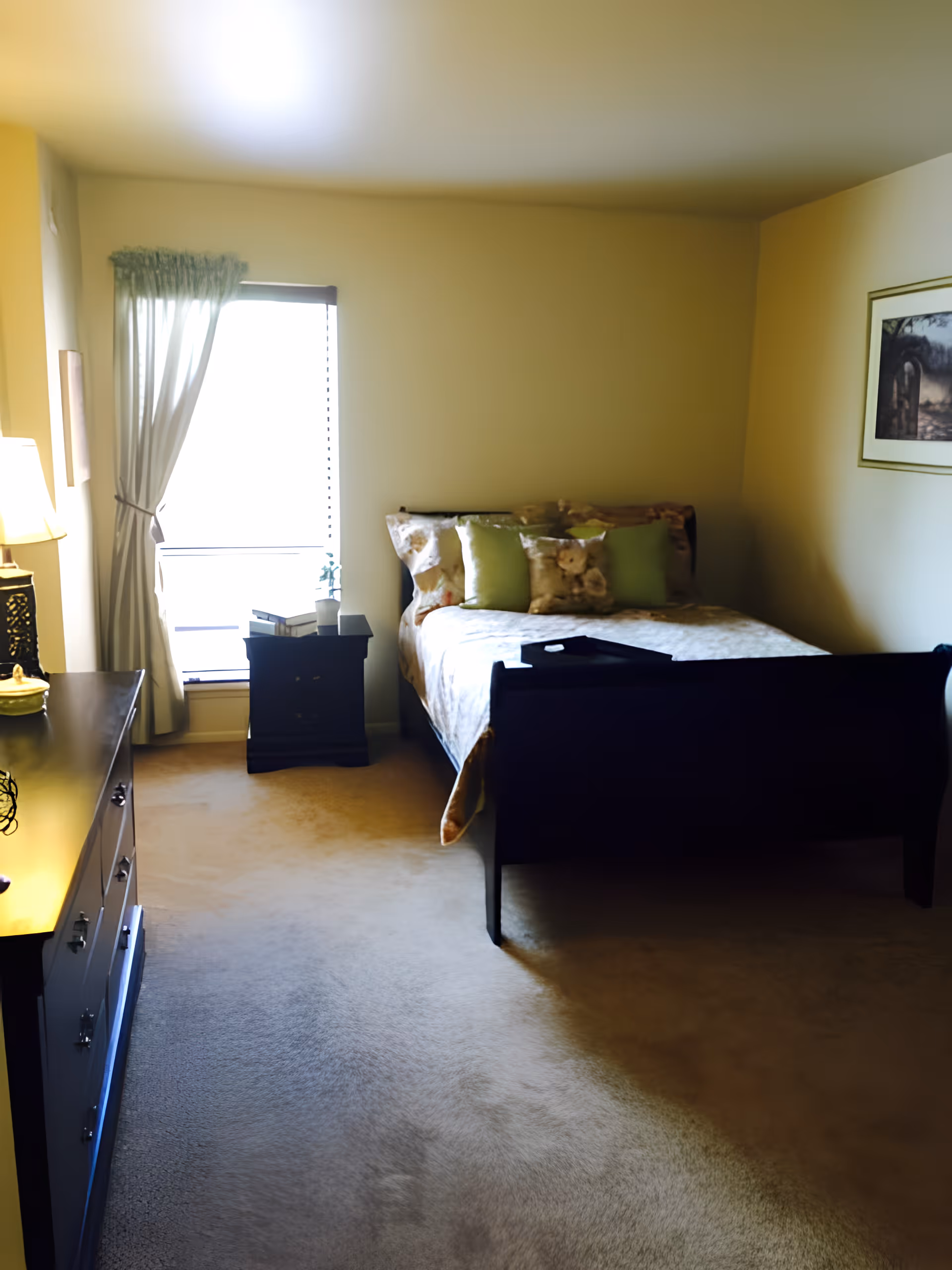 A cozy bedroom with a bed featuring multiple pillows, a nightstand with books and a plant, a dresser with a lamp, and a window with curtains letting in natural light. A framed picture hangs on the wall.