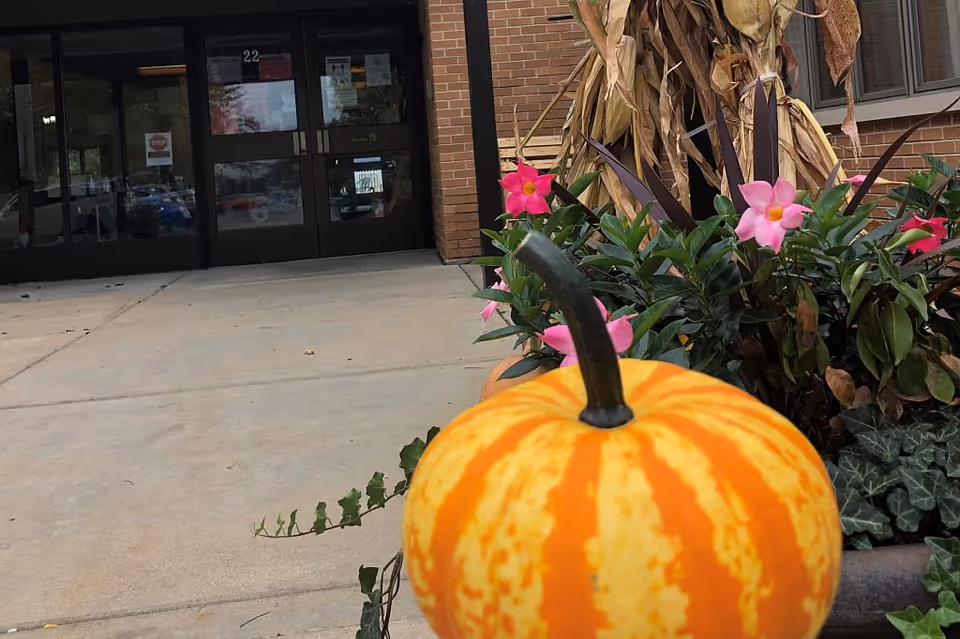 Close-up of a small orange and yellow striped pumpkin in front of a planter with green leaves and pink flowers, with dried corn stalks behind it. In the background, there is a brick building with glass double doors and the number 22 above them.
