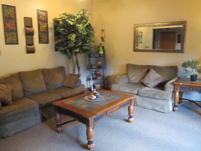 Living room with sofas, coffee table, plants, and a mirror.