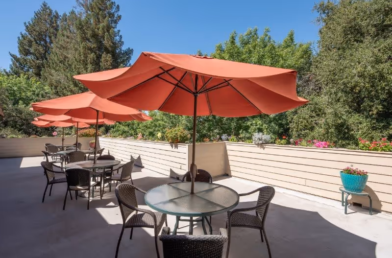 Outdoor patio area with multiple round glass tables, each surrounded by four wicker chairs and shaded by large orange umbrellas. The patio is enclosed by a beige wooden fence with potted plants and greenery visible beyond the fence under a clear blue sky.