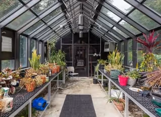Interior view of a greenhouse with glass walls and ceiling. There are metal tables on both sides holding various potted plants, including leafy green plants and flowering plants. A black mat is placed on the concrete floor in the center aisle. The greenhouse door is visible at the far end.