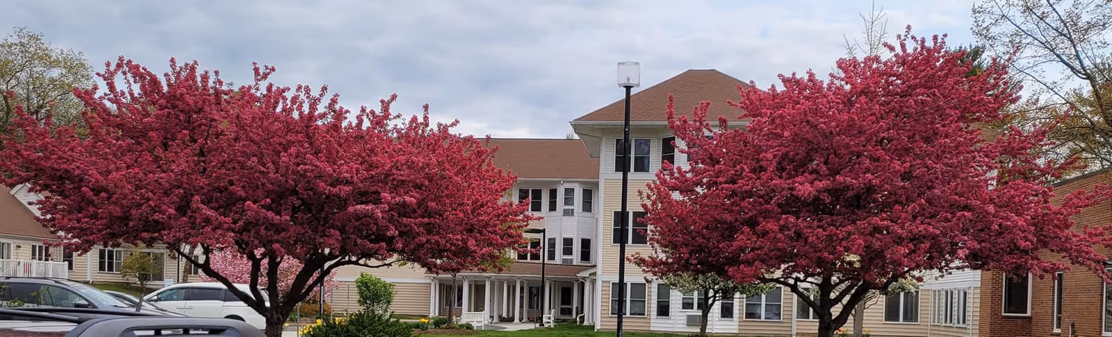 Exterior view of a multi-story retirement community building with beige siding and a brown roof, framed by two large trees with vibrant pink blossoms. Several parked cars are visible in front of the building under a cloudy sky.