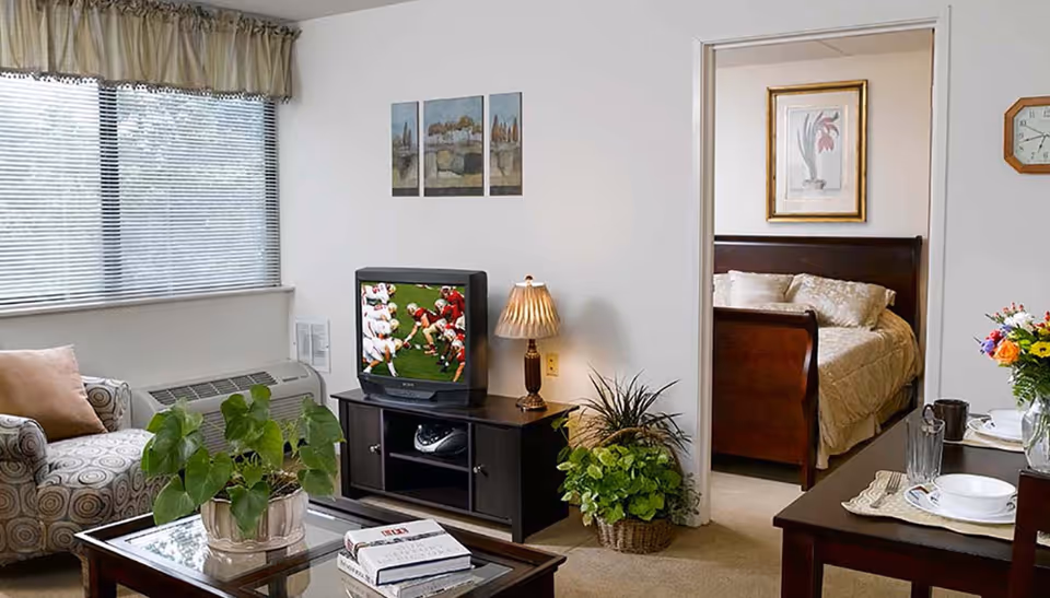 A cozy living room with a patterned armchair, a coffee table with a potted plant and books, a TV on a stand showing a football game, a table lamp, and a doorway leading to a bedroom with a wooden bed and framed artwork on the wall. There is also a dining table set with plates, glasses, and a vase of flowers.