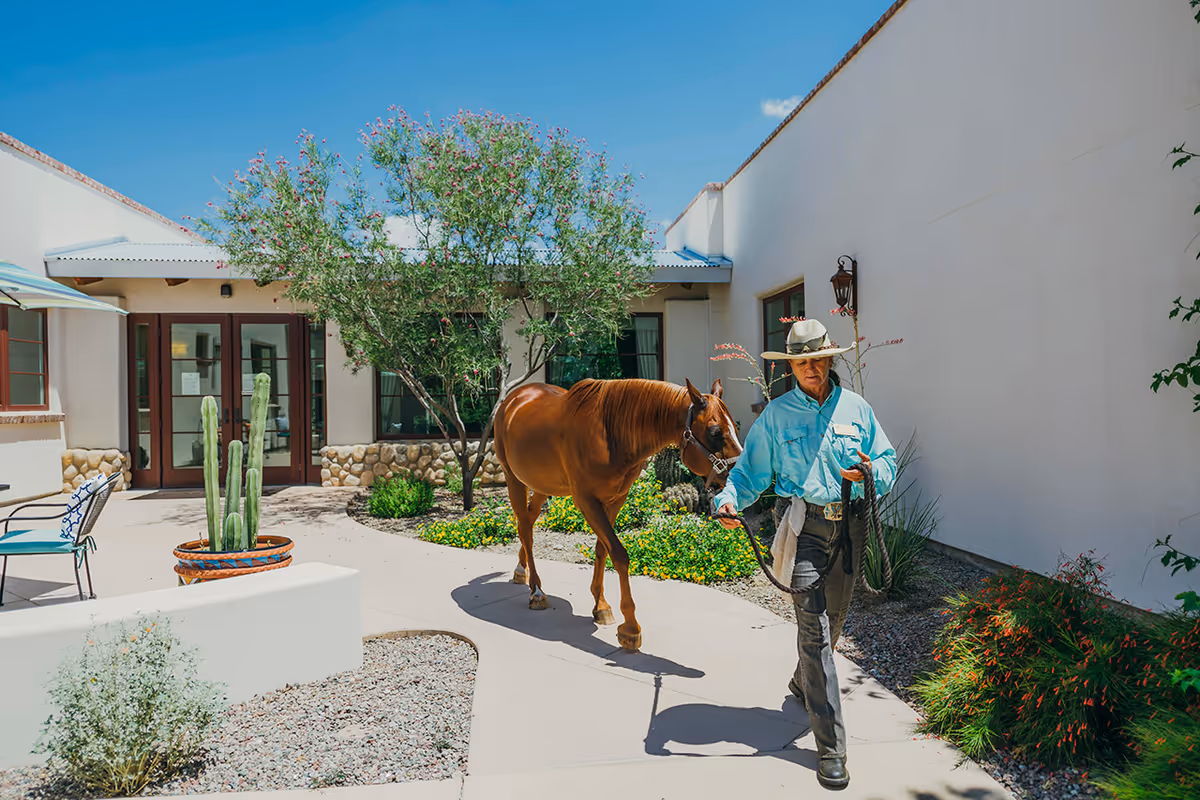 A man wearing a hat and blue shirt is walking a brown horse on a leash through a sunny courtyard with desert landscaping, including cacti and flowering plants, surrounded by light-colored buildings with stone accents.