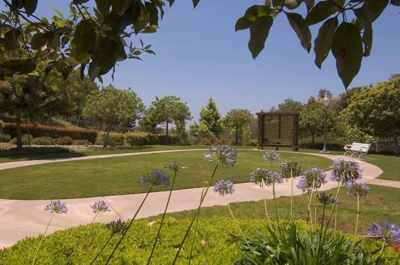 A well-maintained outdoor garden area with a curved walking path, green grass, flowering plants in the foreground, several trees, a wooden pergola with a bench, and a white bench near a lamppost under a clear blue sky.