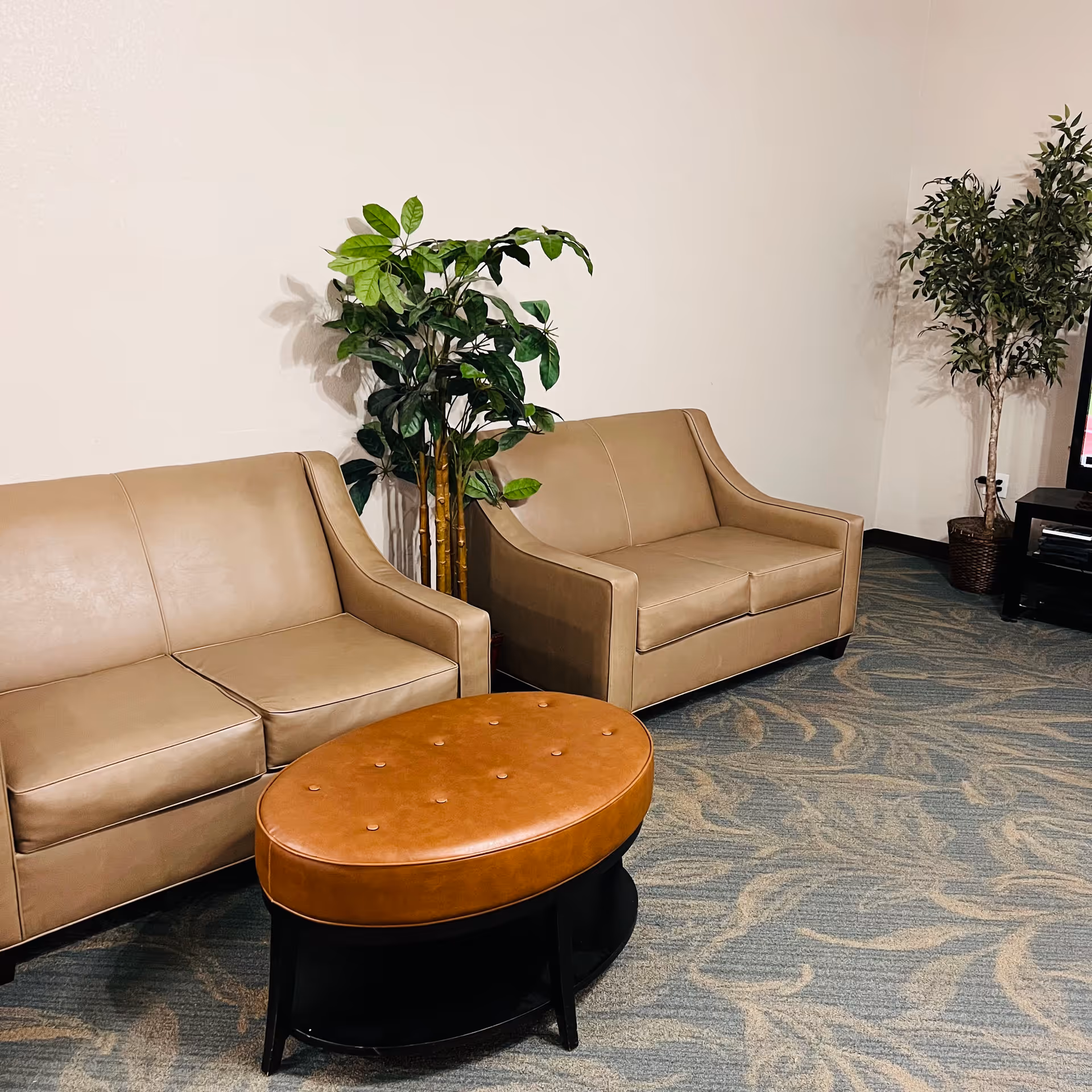 A cozy living room area with two beige leather sofas, a brown oval leather ottoman coffee table, two potted artificial plants, and a TV on a black stand in the corner. The floor is carpeted with a patterned design.