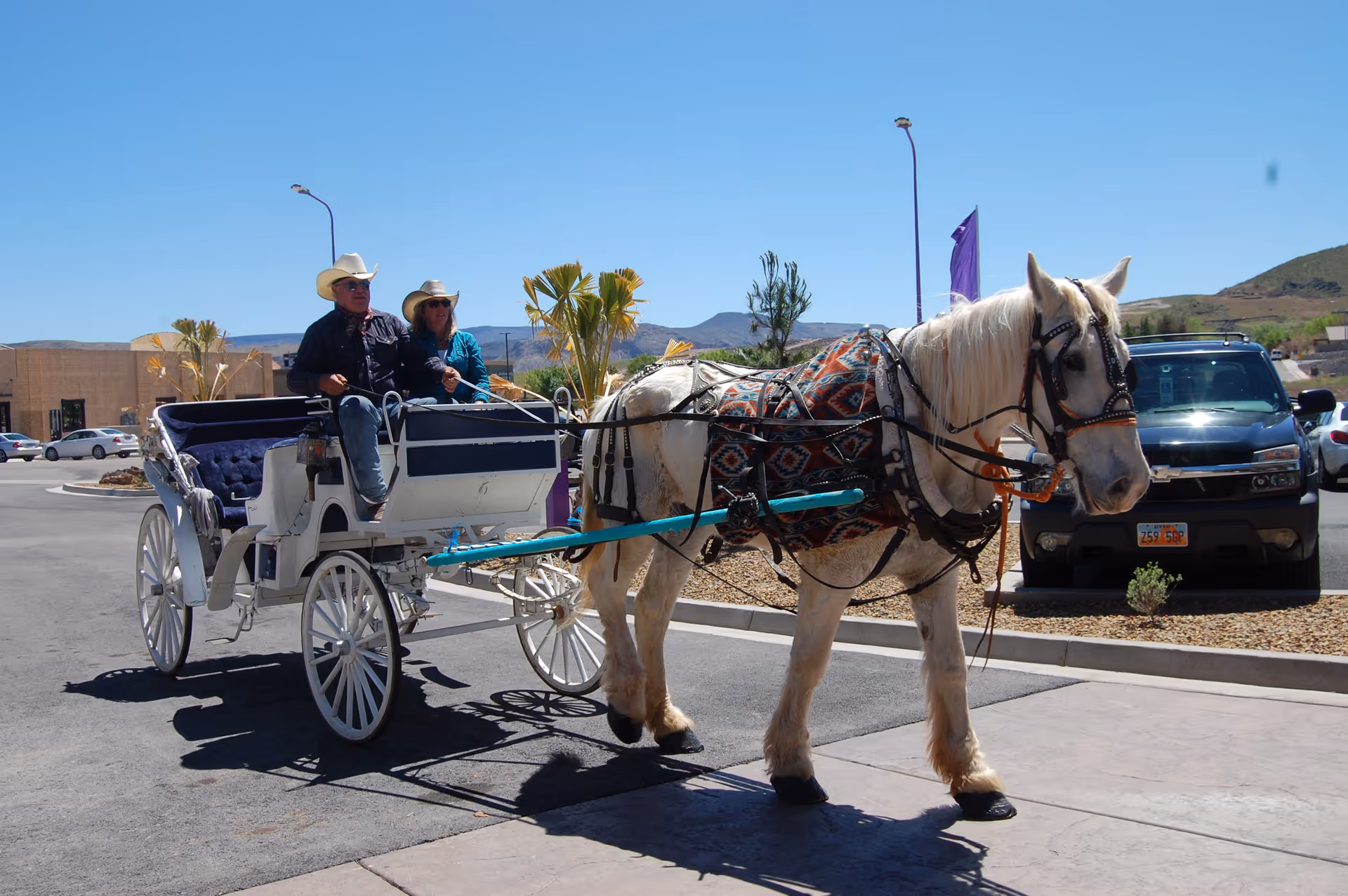A white horse in decorative harness pulls a white carriage carrying two people in a sunny parking lot.