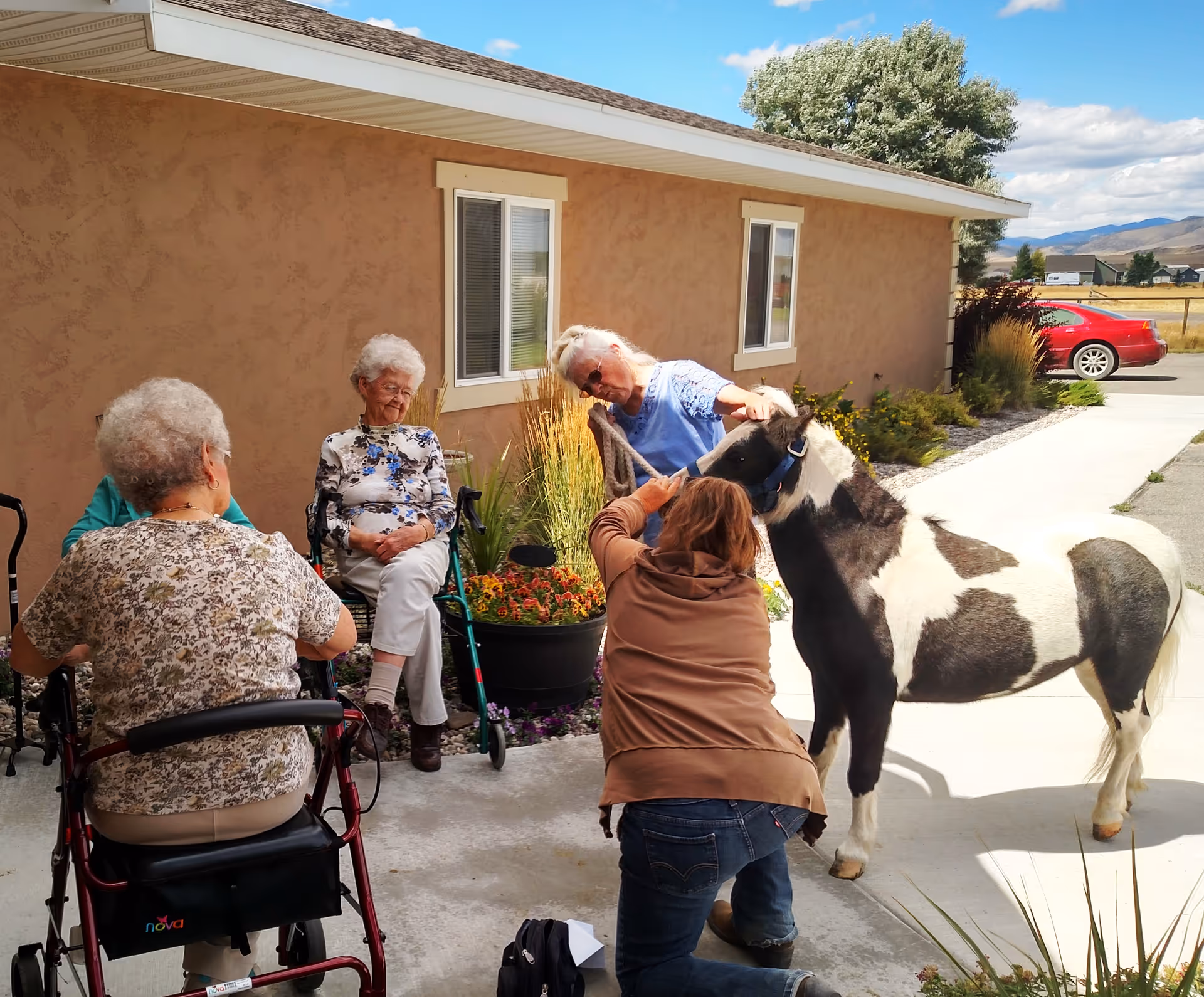 A group of elderly women sitting and interacting outdoors near a building with beige stucco walls. One woman is seated in a wheelchair, another is seated on a chair, and two women are engaging with a small black and white pony. There are plants and flowers in pots nearby, and a red car is parked in the background under a partly cloudy sky.
