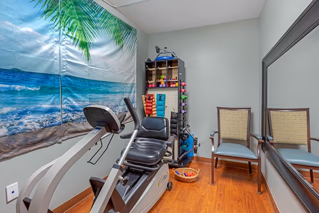 A small exercise room with a recumbent stationary bike, a rack holding various small weights and exercise equipment, a chair, and a large mirror on one wall. A wall hanging depicting a beach scene with palm trees and ocean waves adds a decorative touch.