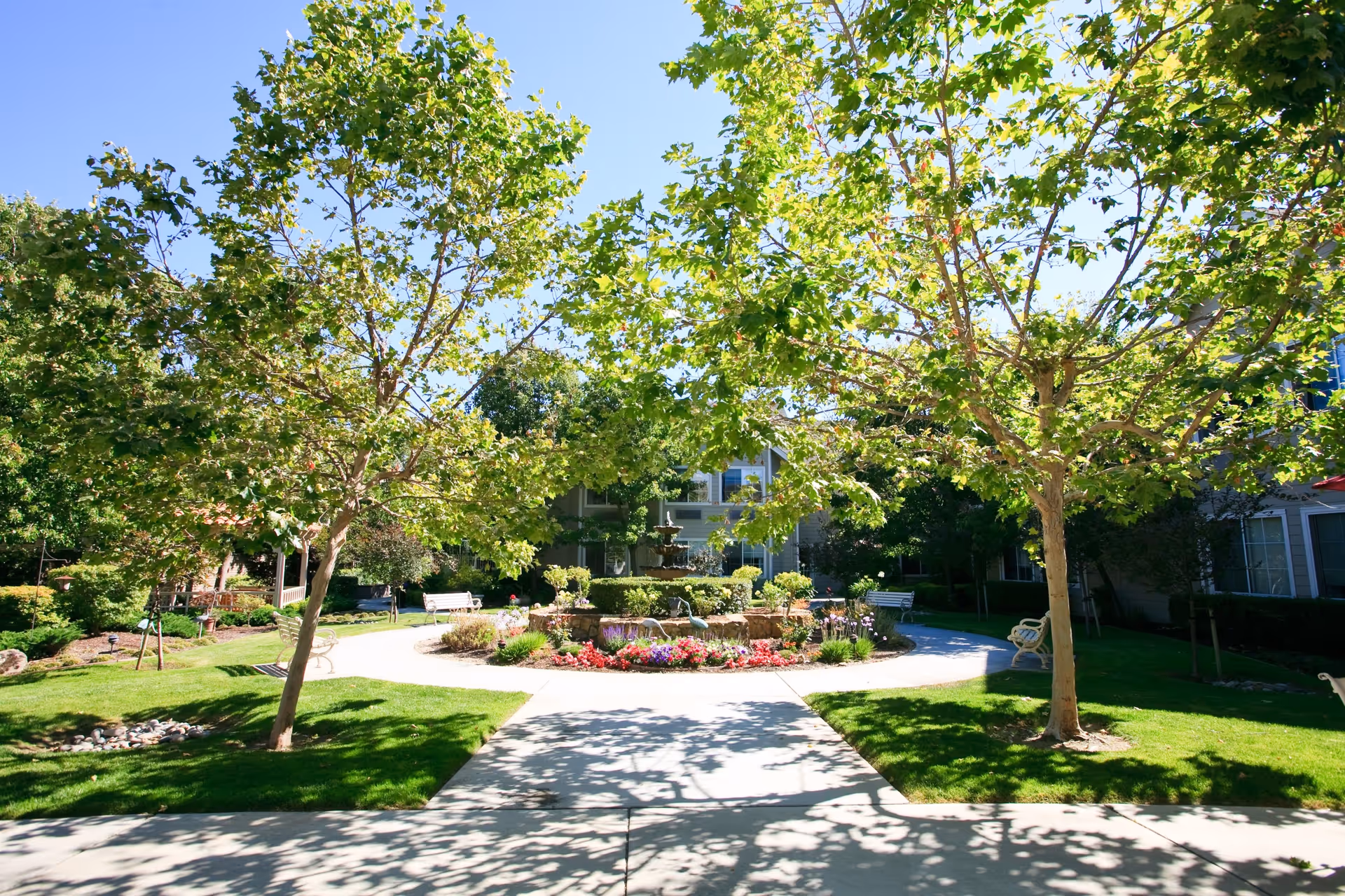 A sunny outdoor garden area at Aegis Gardens Fremont featuring a circular flower bed with colorful flowers and a multi-tiered fountain in the center, surrounded by green grass, trees, and several white benches along a paved walkway.