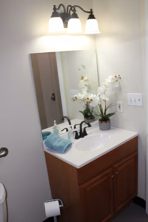 A bathroom vanity with a white countertop, a built-in sink, and a dark faucet. On the countertop, there is a potted white orchid plant, a soap dispenser, and two folded blue towels. Above the vanity is a large rectangular mirror and a three-light fixture with frosted glass shades. A toilet paper holder with a roll of toilet paper is mounted on the side of the vanity cabinet.