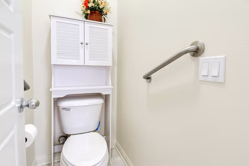 A small bathroom with a white toilet and a white cabinet above it. There is a metal grab bar on the right wall next to the toilet and a double light switch above it. A roll of toilet paper is mounted on the left wall near the door. A decorative flower arrangement is placed on top of the cabinet.