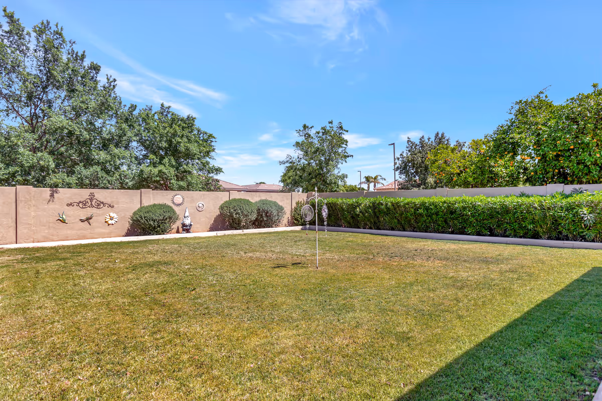 A sunny outdoor garden area with a well-maintained lawn, green bushes along the perimeter, and a beige wall decorated with various ornamental items including a gnome statue and metal wall art. Trees and a clear blue sky are visible in the background.