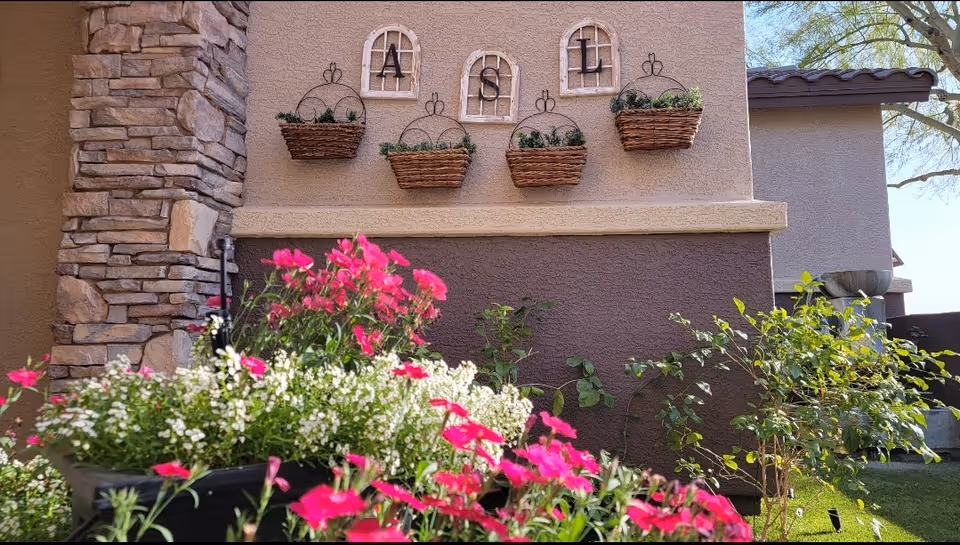 Exterior wall with decorative hanging planters and pink flowers in the foreground.