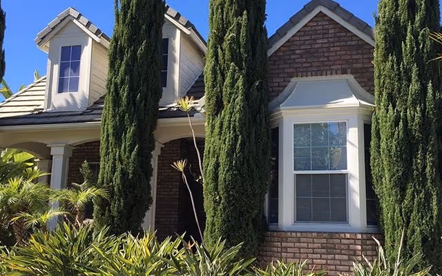 Exterior view of a brick and siding building with a pitched roof, featuring two dormer windows and a bay window. Tall evergreen trees and various green shrubs are planted in front of the building under a clear blue sky.